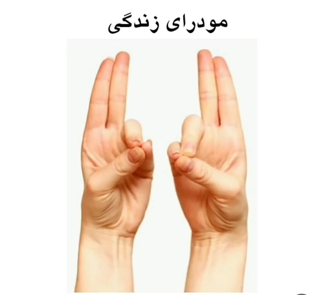 article-image