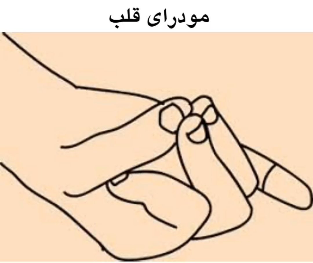 article-image