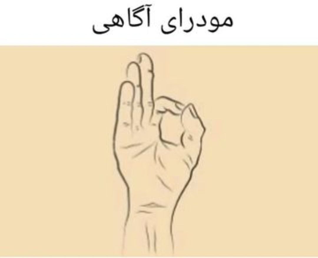article-image